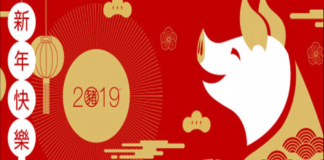 2019 წლის ჩინური ზოდიაქო: რა მოგიმზადათ ღორის წელმა