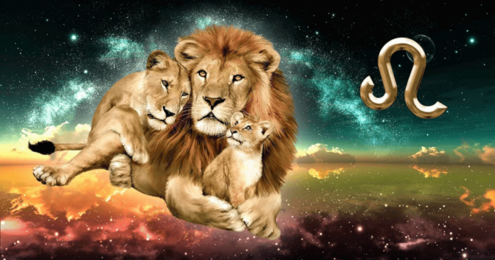 12 მიზეზი, რატომ არის ლომი საუკეთესო მშობელი და მეუღლე